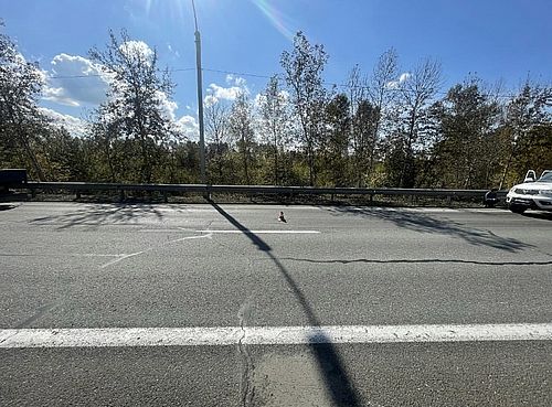 Фото пресс-службы Госавтоинспекции Хакасии